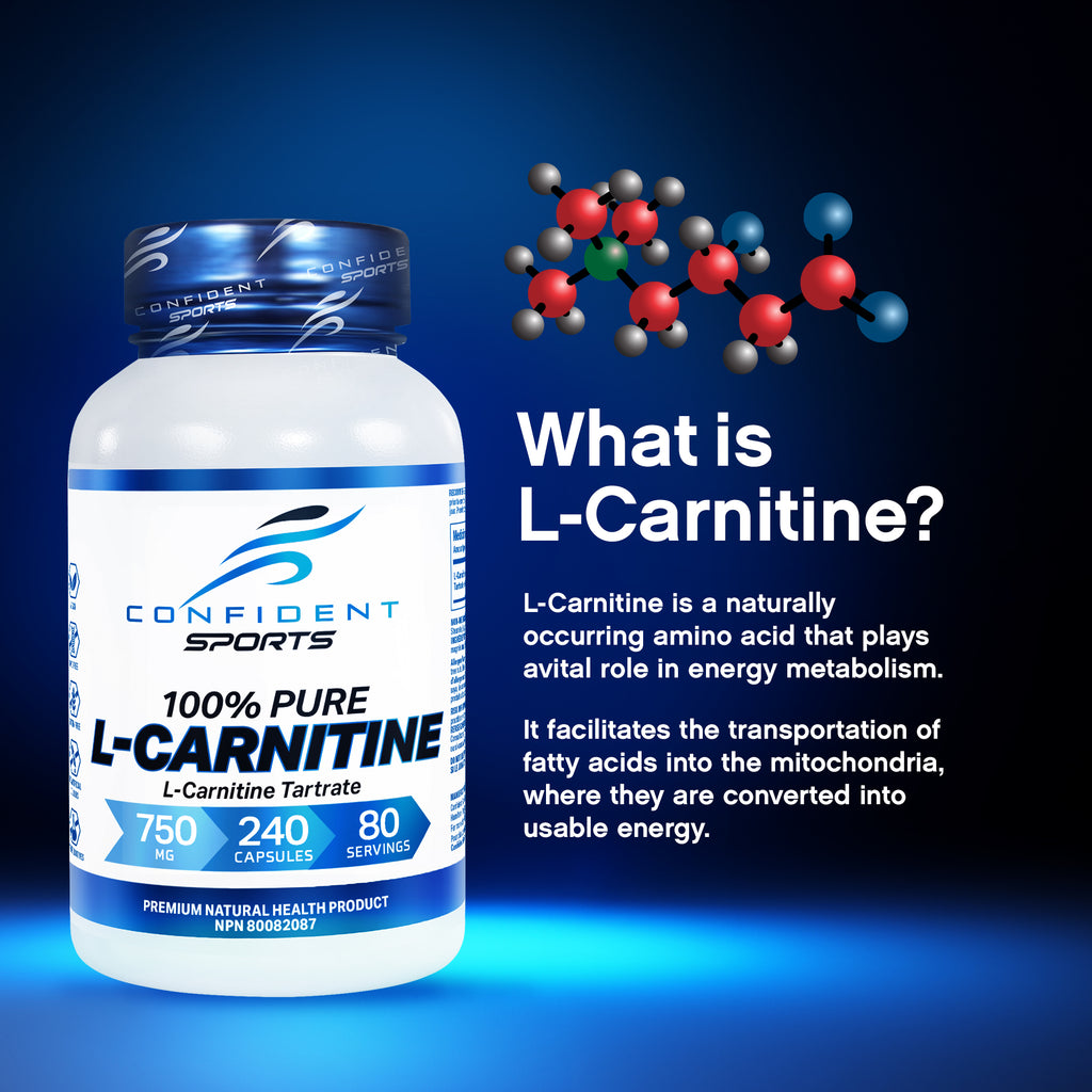 L-Carnitine (120, 240 ct)