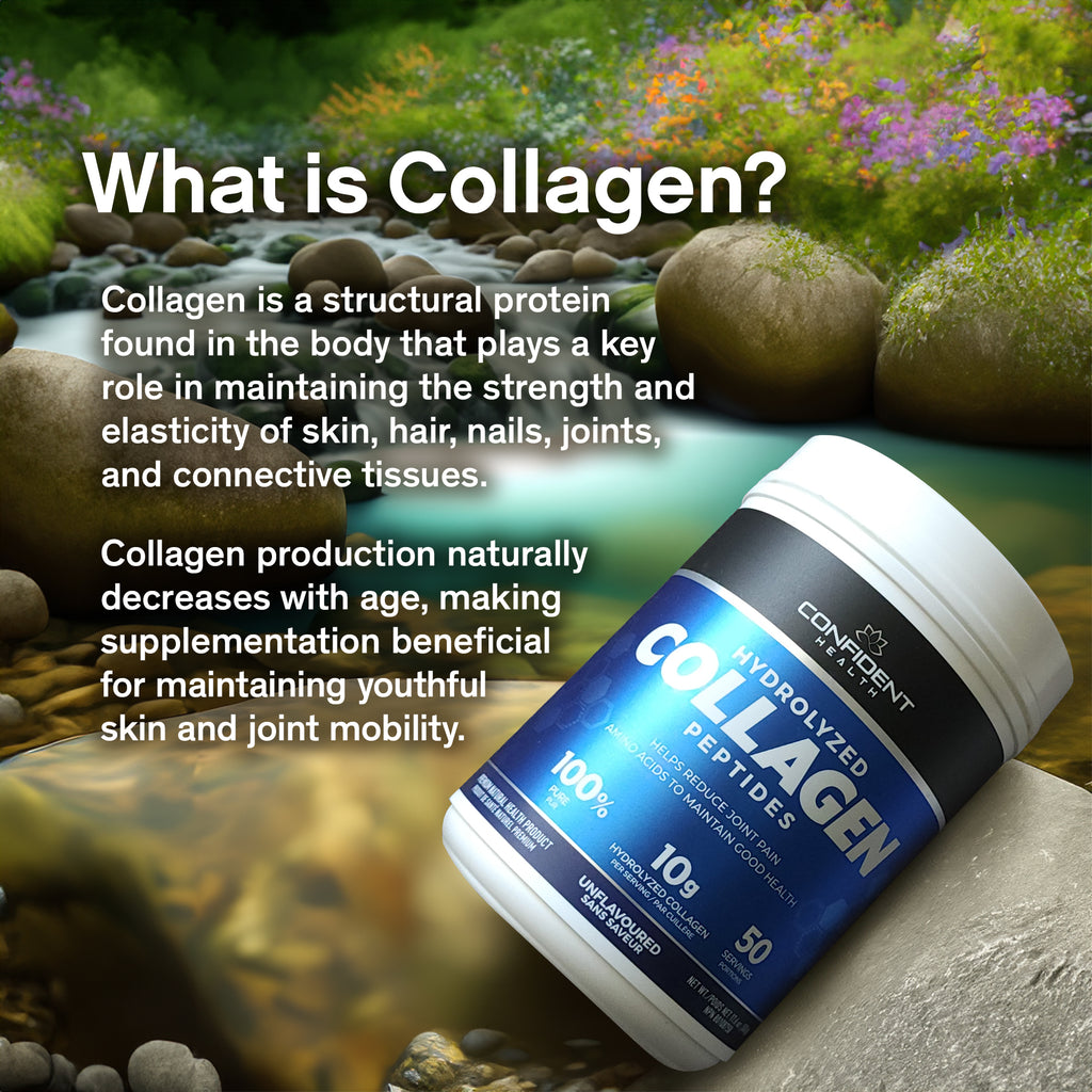 Hydrolyzed Collagen (500g)