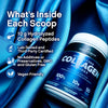 Hydrolyzed Collagen (500g)