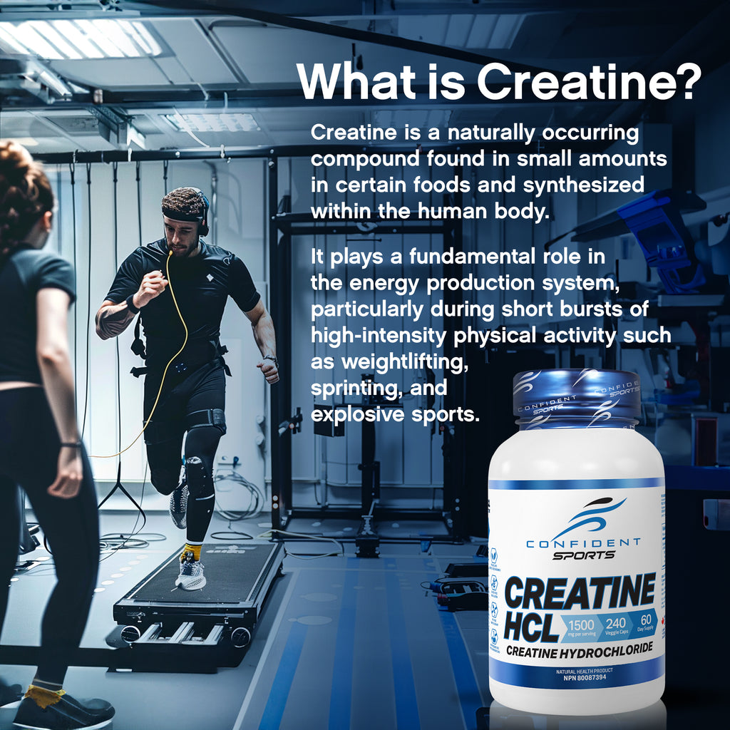 Creatine HCl (240 ct)